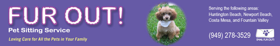 pet sitter Huntington Beach, Newport Beach, Costa Mesa, Fountain Valley