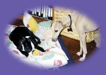 clients photo